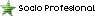 Socio Profesional Socio Profesional